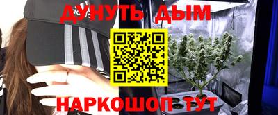 тгк Гусев